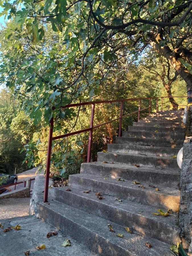 Apartmani Mia Rada Budva Exterior foto